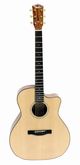Fender ESA10CE
